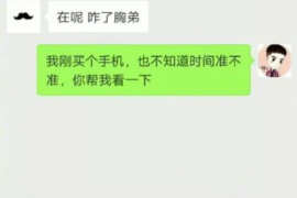 雷哥儿子讨债完整版：揭秘债务追收的曲折历程